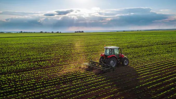 Ucraina intenţionează să însămânţeze aceeaşi suprafaţă agricolă ca anul trecut