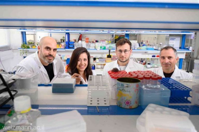 Un nou tratament împotriva cancerului bazat pe un anticorp modificat, dezvoltat de cercetători israelieni