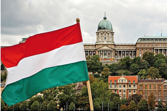 Guvernul ungar plafonează preţurile la ouă şi cartofi
