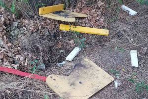 vandalism 1 1