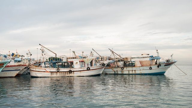 Comisia Europeană a propus posibilităţile de pescuit pentru 2023 în Marea Mediterană şi Marea Neagră