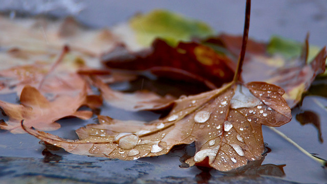 METEO | Vremea va fi caldă astăzi, dar va avea o schimbare bruscă în următoarele zile