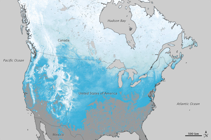 Valul de frig din SUA afectează şi fauna sălbatică
