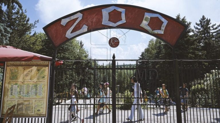 Accesul la Grădina Zoologică din Chișinău va fi gratuit pentru toți vizitatorii, pe 17 iulie